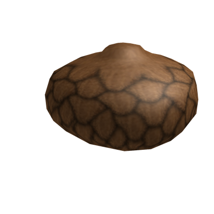 Acorn
