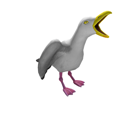 Angry Seagull