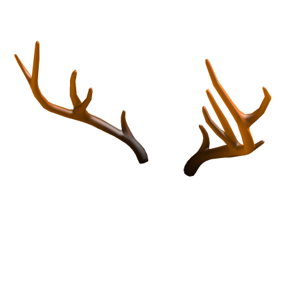 Antlers for Autumn