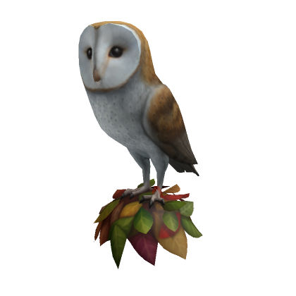 Barn Owl Perch Hat