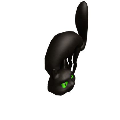 Black Shoulder Cat
