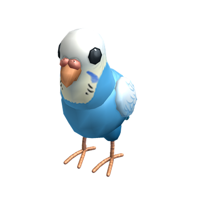 Blue Budgie Buddy