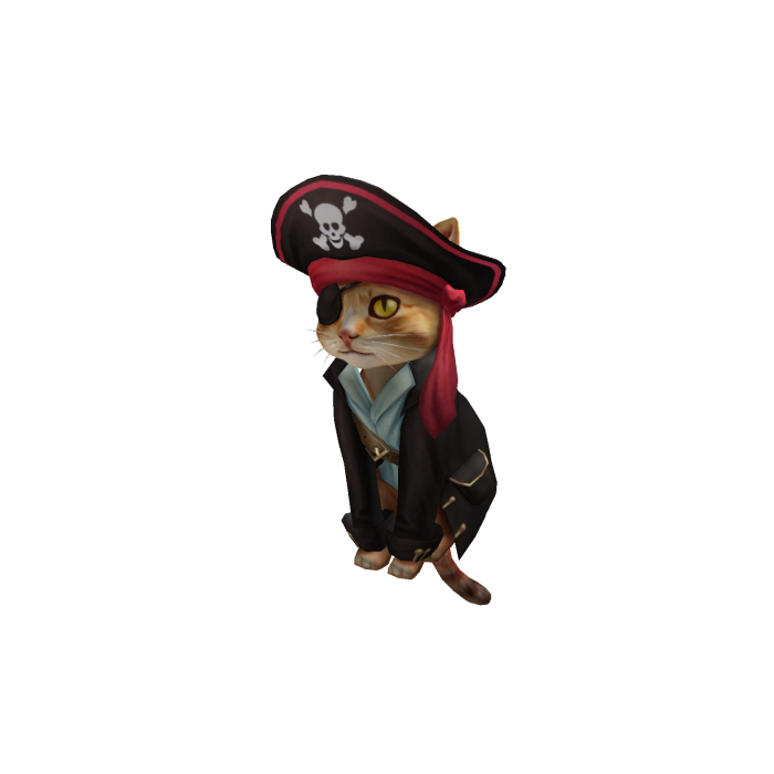 Cat Captain Silverpaw