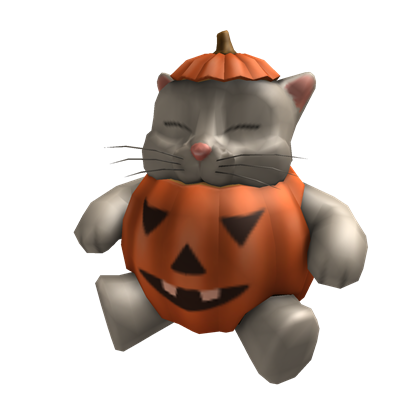 Cat of the Week: Pumpkin Cat