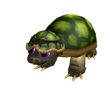 Crazy Turtle Friend