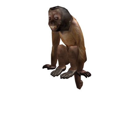 Dexter the Monkey