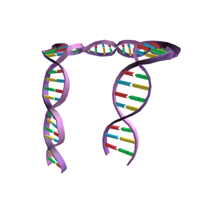 DNA Scarf