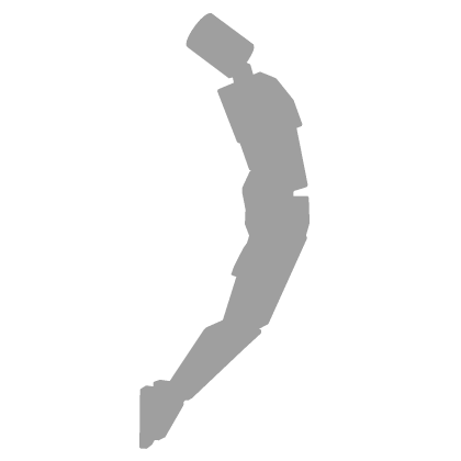 Dolphin Dance