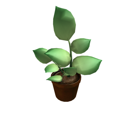 Earth Day Plant 2010