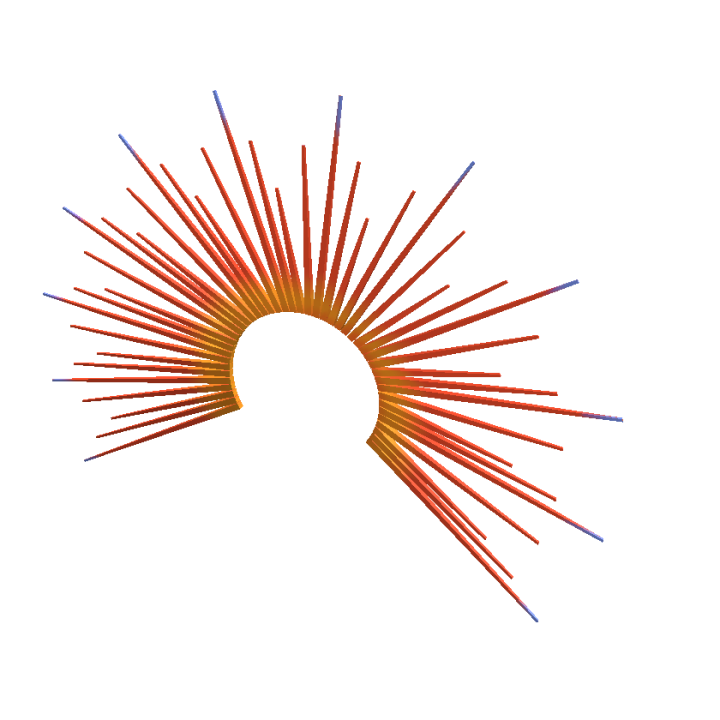 Festival Crown