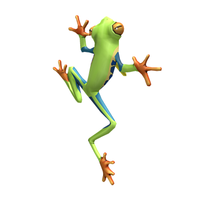 Lapel Frog