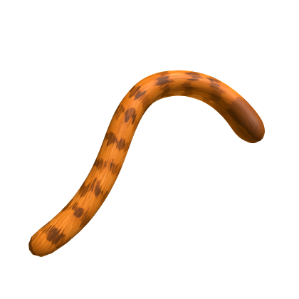 Orange Cat Tail